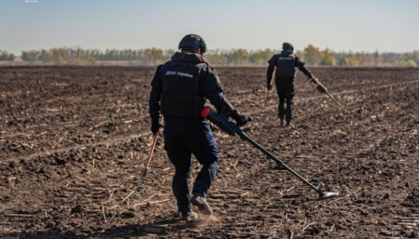 Аграрії у жовтні отримали ще понад 24 тисячі гектарів розмінованих сільгоспземель Аграрії у жовтні отримали ще понад 24 тисячі гектарів розмінованих сільгоспземель