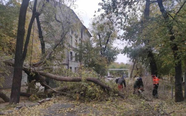 Через негоду на Дніпропетровщині без світла залишилися майже 14,5 тисяч споживачів
Через негоду на Дніпропетровщині без світла залишилися майже 14,5 тисяч споживачів