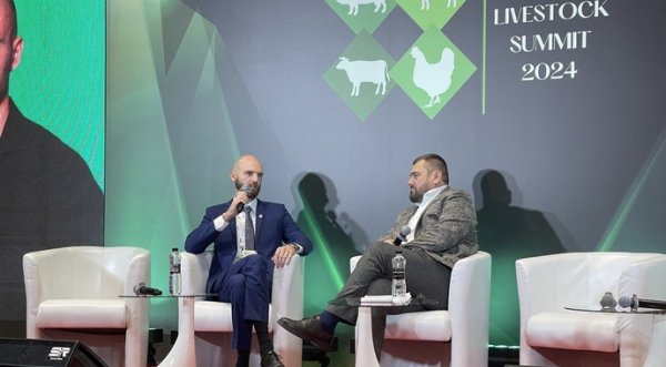 Під тиском війни: як змінилось українське тваринництво Під тиском війни: як змінилось українське тваринництво