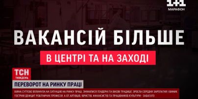 Курс валют на выходные, 16-17 ноября: сколько стоят доллар, евро и злотый
Курс валют на выходные, 16-17 ноября: сколько стоят доллар, евро и злотый