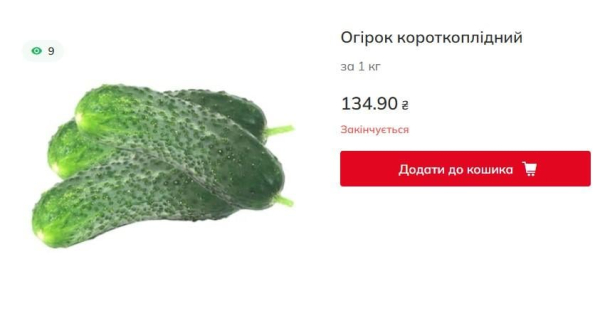 Ціни на огірки летять у космос: скільки коштує кілограм овоча в Україні Ціни на огірки летять у космос: скільки коштує кілограм овоча в Україні