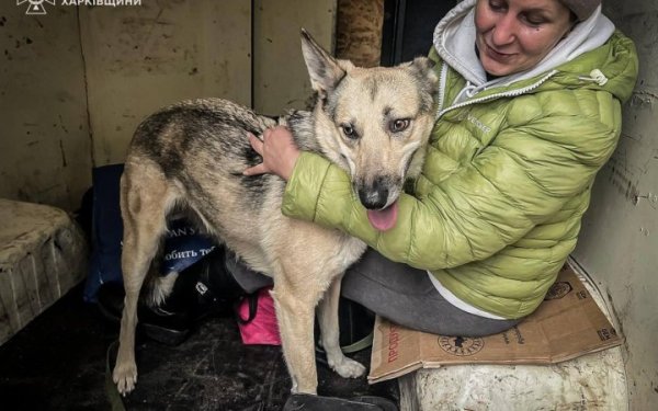 Рятувальники за день евакуювали шістьох людей похилого віку з Харківщини
Рятувальники за день евакуювали шістьох людей похилого віку з Харківщини