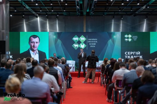 Під тиском війни: як змінилось українське тваринництво Під тиском війни: як змінилось українське тваринництво