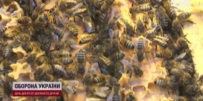 В Украине взлетели цены на яйца, но это не конец: когда стоимость снизится
В Украине взлетели цены на яйца, но это не конец: когда стоимость снизится