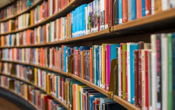 Инвестиции в знания: с каких книг начать знакомство с финансовой грамотностью
Инвестиции в знания: с каких книг начать знакомство с финансовой грамотностью