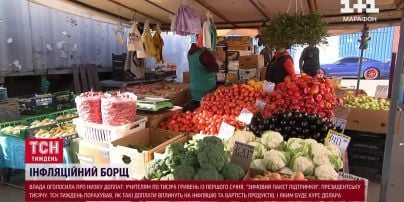 Курс валют на 12 ноября: сколько будут стоить доллар, евро и злотый
Курс валют на 12 ноября: сколько будут стоить доллар, евро и злотый