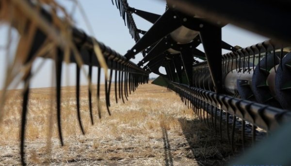 В Україні намолотили вже 66,7 мільйона тонн зернових та олійних В Україні намолотили вже 66,7 мільйона тонн зернових та олійних