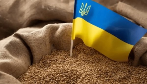 Україна обговорює з Польщею вільний доступ до європейських агроринків Україна обговорює з Польщею вільний доступ до європейських агроринків