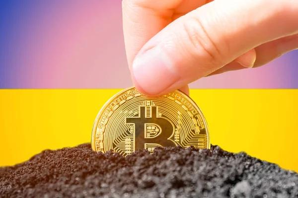 Гетманцев говорит, что Украина легализует криптовалюту в начале 2025 года, но без налоговых льгот
Гетманцев говорит, что Украина легализует криптовалюту в начале 2025 года, но без налоговых льгот