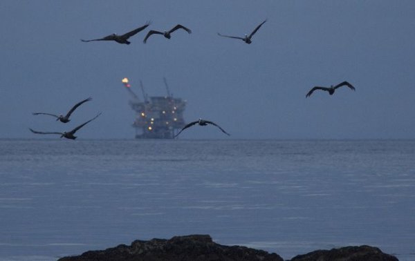 Мировые цены на нефть падают второй год подряд
Мировые цены на нефть падают второй год подряд