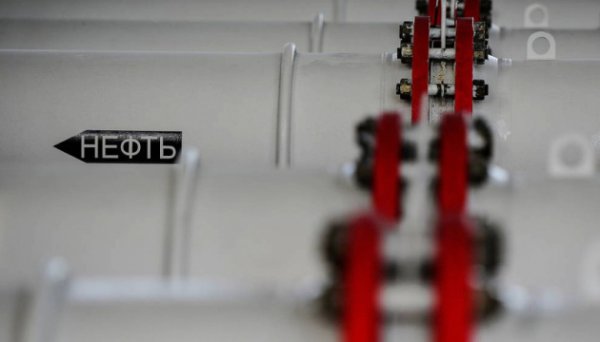 У Чехії повідомили про поновлення постачання нафти трубопроводом «Дружба» У Чехії повідомили про поновлення постачання нафти трубопроводом «Дружба»