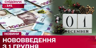 Курс валют на 23 декабря: сколько будут стоить доллар, евро и злотый
Курс валют на 23 декабря: сколько будут стоить доллар, евро и злотый