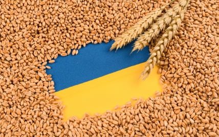 Украина заменит Россию в поставках зерна в Сирию
Украина заменит Россию в поставках зерна в Сирию