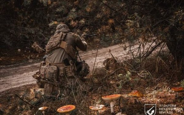 Сили оборони: російська армія намагається закріпитися в острівній зоні на Херсонському напрямку
Сили оборони: російська армія намагається закріпитися в острівній зоні на Херсонському напрямку