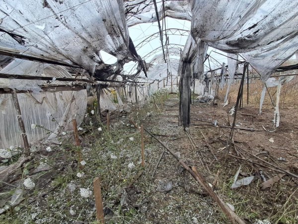 Упродовж дня російська армія двадцять разів атакувала Дніпропетровську область дронами
Упродовж дня російська армія двадцять разів атакувала Дніпропетровську область дронами