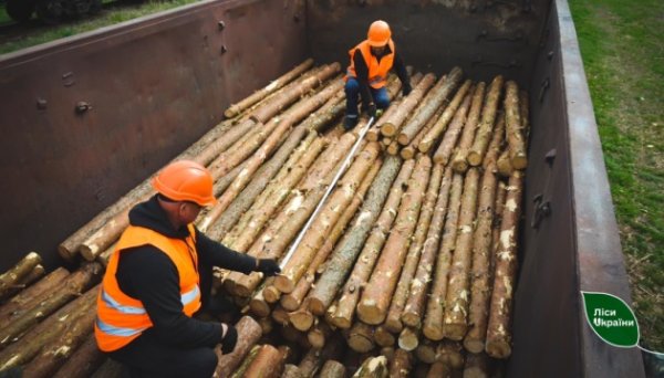 «Ліси України» уклали майже на ₴1 мільярд піврічних договорів на постачання деревини «Ліси України» уклали майже на ₴1 мільярд піврічних договорів на постачання деревини