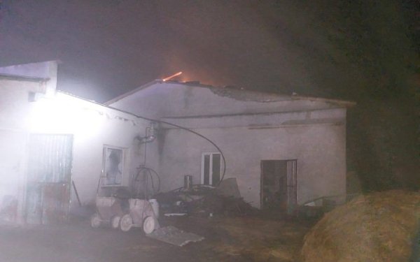 На Сумщині внаслідок атаки “шахедів” пошкоджено ферму, травмовано корів
На Сумщині внаслідок атаки “шахедів” пошкоджено ферму, травмовано корів