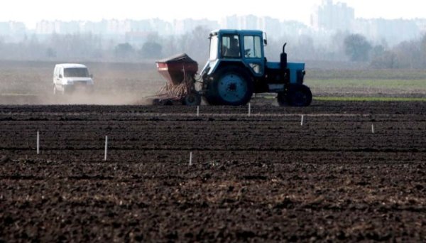 У листопаді аграрії отримали 25 тисяч гектарів розмінованих земель У листопаді аграрії отримали 25 тисяч гектарів розмінованих земель