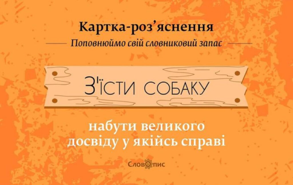 Чому ми говоримо «собаку з’їв» коли говоримо про багатий досвід: походження та значення вислову Вислови