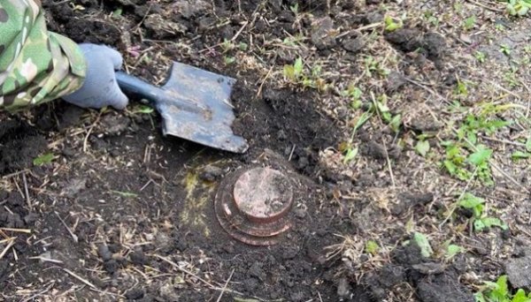 За програмою компенсації розмінування агроземель очищена перша ділянка За програмою компенсації розмінування агроземель очищена перша ділянка