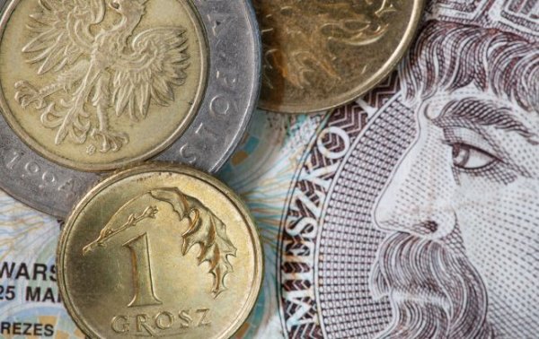 НБУ снизил курс польского злотого к гривне
НБУ снизил курс польского злотого к гривне