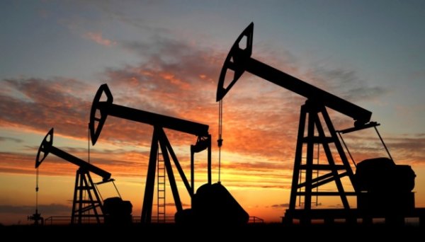 Нафта дешевшає на тлі очікувань політичних заяв від новообраного президента США Нафта дешевшає на тлі очікувань політичних заяв від новообраного президента США