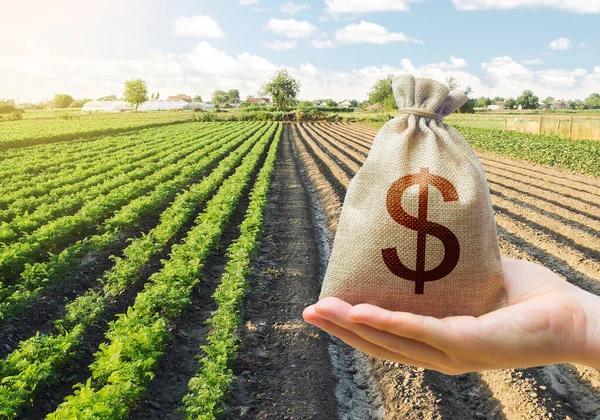 Исторический рекорд: Украина получила $24,5 млрд валютной выручки от экспорта агропродукции
Исторический рекорд: Украина получила $24,5 млрд валютной выручки от экспорта агропродукции