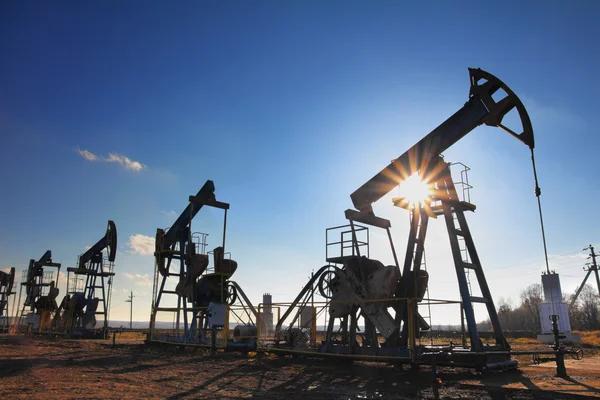 Шесть стран ЕС призвали снизить потолок цен на российскую нефть
Шесть стран ЕС призвали снизить потолок цен на российскую нефть