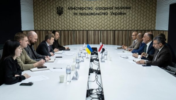 В Єгипті можуть створити український продовольчий хаб - Мінагрополітики В Єгипті можуть створити український продовольчий хаб - Мінагрополітики