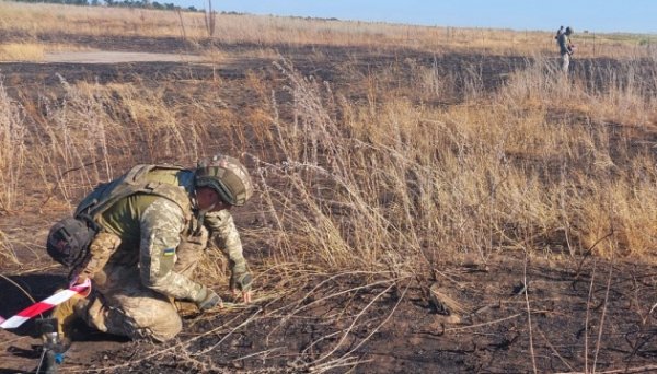 Сапери торік розмінували 17 тисяч квадратних кілометрів земель Сапери торік розмінували 17 тисяч квадратних кілометрів земель