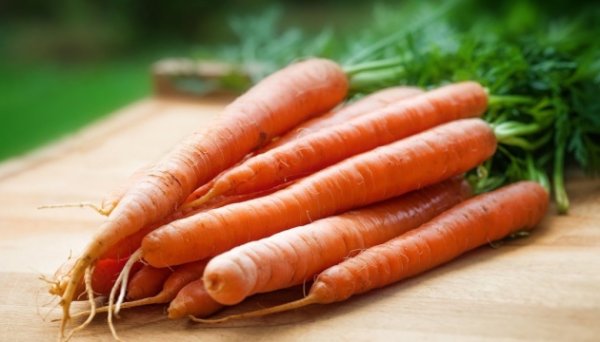 В Україні дешевшає морква - EastFruit В Україні дешевшає морква - EastFruit