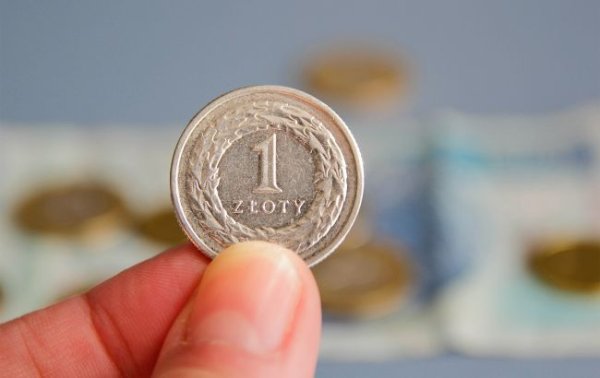 Курс польского злотого к гривне продолжает расти
Курс польского злотого к гривне продолжает расти