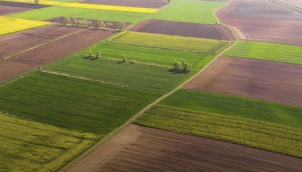 Після скасування мораторію на відчуження сільгоспземель продали лише 3,4% ділянок - Мінагрополітики Після скасування мораторію на відчуження сільгоспземель продали лише 3,4% ділянок - Мінагрополітики
