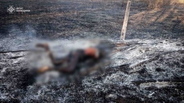 Два человека погибли во время сжигания травы на Киевщине Два человека погибли во время сжигания травы на Киевщине