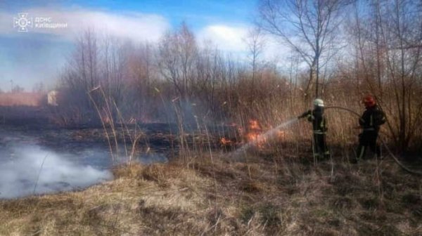 Два человека погибли во время сжигания травы на Киевщине Два человека погибли во время сжигания травы на Киевщине