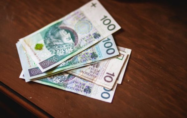 Злотый подешевел после максимума
Злотый подешевел после максимума