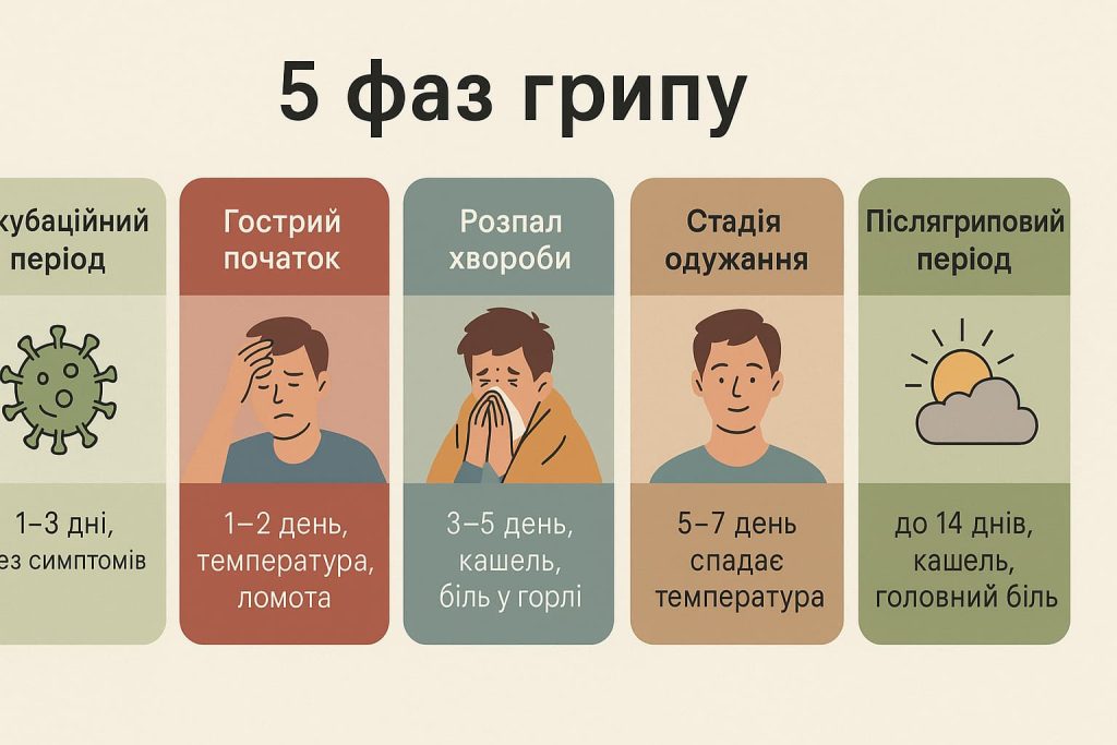 Скільки триває грип у дорослих та дітей Скільки триває грип у дорослих та дітей