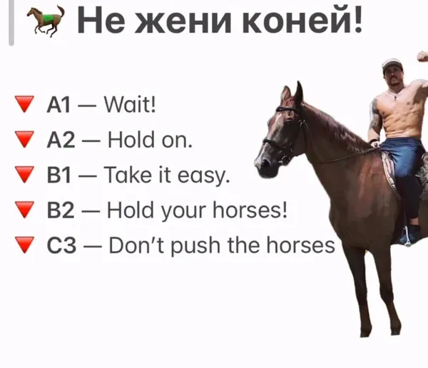 Don’t push the horses: фраза Усика стала мемом