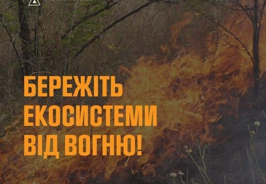 Масштабні пожежі в Запоріжжі: ліквідовано три осередки Пожежі в Запоріжжі: за минулу добу рятувальники ліквідували три пожежі в екосистемах області, вогонь знищив понад 3 га природного середовища