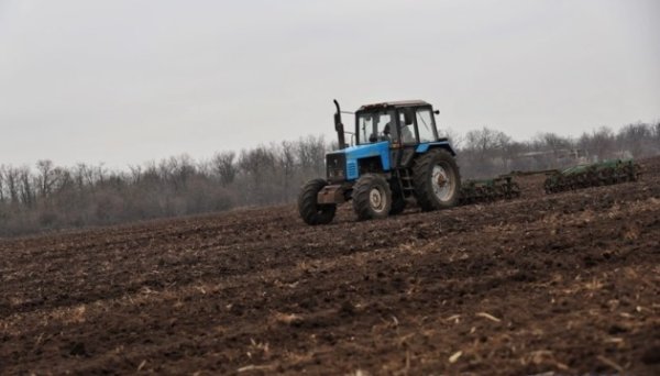 Аграрії вже засіяли майже 5 мільйонів гектарів озимих культур