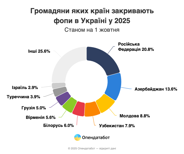 1,6 тысячи ФОП открыли иностранцы в Украине в этом году — Опендатабот