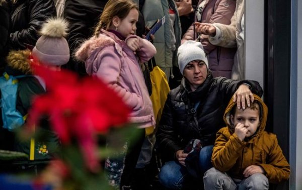 Насколько украинские беженцы довольны жизнью в Германии: результаты исследования