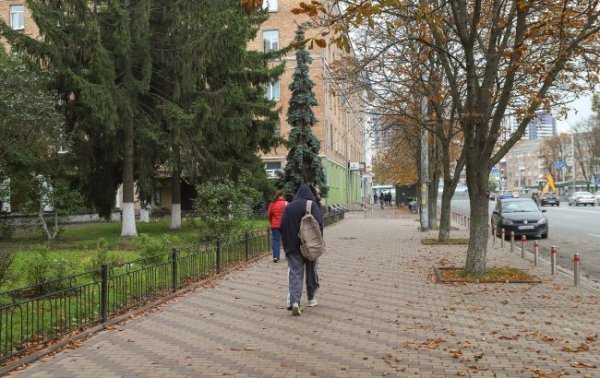 Теплый старт зимы? Синоптики рассказали, каким может быть декабрь в Украине