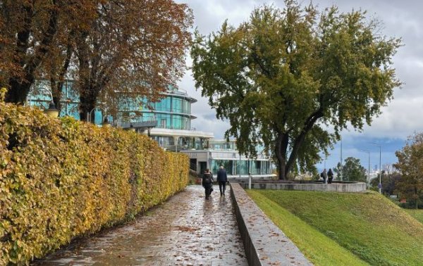 До +12, местами небольшие дожди: какой будет погода в Украине 30 ноября