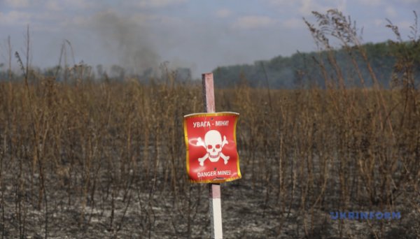 Від початку року в Україні розмінували 34 300 гектарів сільгоспземель