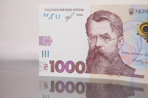 Более 13 миллионов украинцев подали заявки на получение 1000 грн в рамках «Зимней поддержки»