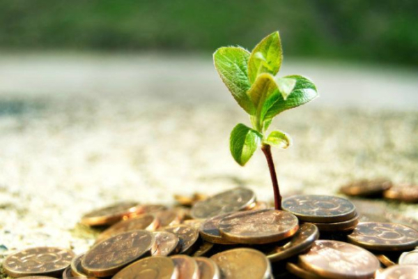 Объемы инвестиций физических лиц в ОВГЗ выросли на 45%