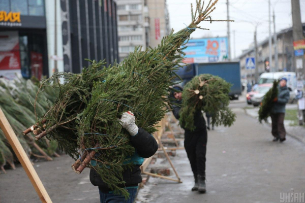 Скоро в Києві запрацюють святкові ярмарки: скільки буде коштувати різдвяна ялинка