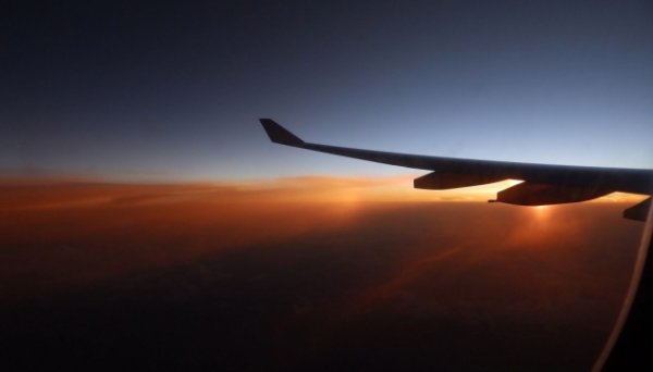 Українські авіакомпанії цьогоріч перевезуть близько 670 тисяч пасажирів