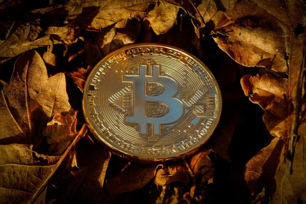 Коррекция на крипторынке в ноябре: Рекордные отливы с BTC-ETF и давление на цифровые казначейства